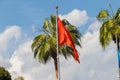 Waving flag of Turkey and palm trees against blue sky Royalty Free Stock Photo