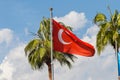 Waving flag of Turkey and palm trees against blue sky Royalty Free Stock Photo