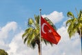 Waving flag of Turkey and palm trees against blue sky Royalty Free Stock Photo