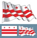 Waving Flag of Washington DC