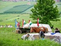 Waving hungarian flags on chariot during the Pentecostal celebration.