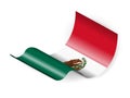 Waving Mexico flag