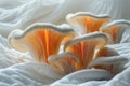 Waving mushroom texture background. Generative AI. Royalty Free Stock Photo