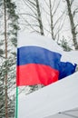 Waving national flag of Russia on a nature background