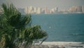 Waving palm tree leaves against sea waves and coastal city skyline