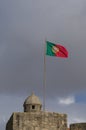 Waving Portugese flag