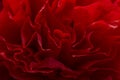 Wavy abstract texture made from red crepe paper Royalty Free Stock Photo