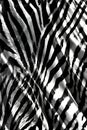 Wavy Black and White Optical Illusion Pattern Portrait Images Generative AI Royalty Free Stock Photo