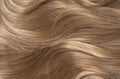 Wavy blonde hair Royalty Free Stock Photo