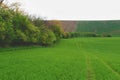 Wavy fairytale spring landscape with fields and sky. Spring landscape. Moravian Tuscany, south Moravia, Czech Republic Royalty Free Stock Photo