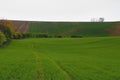 Wavy fairytale spring landscape with fields and sky. Spring landscape. Moravian Tuscany, south Moravia, Czech Republic Royalty Free Stock Photo