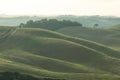 Wavy fields of tuscany in the morning light Royalty Free Stock Photo