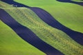 Wavy green fields. Striped rolling sunny hills at sunset Royalty Free Stock Photo