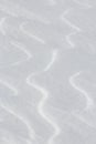 Wavy lines in white windswept snow surface background Royalty Free Stock Photo