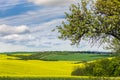 Wavy meadows spring landscape in South Moravia Royalty Free Stock Photo