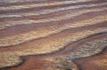 Wavy natural pattern on a flat surface of dark wood