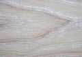 Wavy pattern of natural light wood on a saw cut close-up Royalty Free Stock Photo