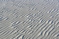 Wavy Pattern of the sandy ocean floor at low tide with striking