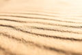 Wavy pattern sandy texture of clean beach sand surface. Coastline travel background with copy space, selective focus Royalty Free Stock Photo