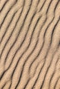 Wavy pattern sandy texture of clean beach sand surface. Coastline travel background with copy space Royalty Free Stock Photo