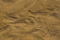 Wavy patterns of sand and water Royalty Free Stock Photo