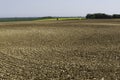 Wavy patterns in the soil in the arable field