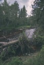 wavy river in forest in green summer - vintage retro look Royalty Free Stock Photo