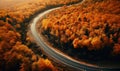 Wavy road in the autumn orange forest, aerial view