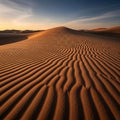 The low sun casts long shadows, highlighting the dunes textures and contours Royalty Free Stock Photo