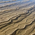 Wavy sand patterns on a beach, shaped by the receding tide. The ripples have a