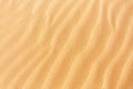 Wavy sand texture. Desert nature background