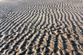 Wavy sand tide lines on beach, background, texture