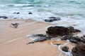 wavy sea with rocks near a beach Royalty Free Stock Photo