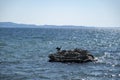 Wavy sea on a summer day and cormorant on a rock. A clear sunny sky. Royalty Free Stock Photo