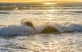 Idyllic twilight sunset at beach with foamy surf waves Royalty Free Stock Photo
