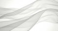 Wavy sheer gray abstraction on white background Royalty Free Stock Photo