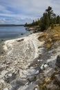 Wavy shoreline of Yellowstone Lake, with white limy beach, vertical.