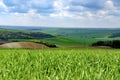 Wavy spring fields in South Moravia. Moravian Tuscany, South Moravia, Czech Republic. Royalty Free Stock Photo