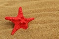 The red starfish lies in the sand. Royalty Free Stock Photo