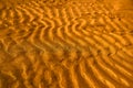 Wavy surface of the golden colored wet sand as an abstract background. Luxurious beach vacation concept