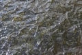 Wavy surface of muddy river water. Long green algae are visible at the bottom Royalty Free Stock Photo