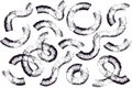 Wavy and swirled brush strokes paint vector seamless pattern. Hand drawn curved black, white lines with grunge effect Royalty Free Stock Photo