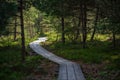 wavy wooden foothpath in swamp forest tourist trail