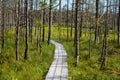 wavy wooden foothpath in swamp forest tourist trail