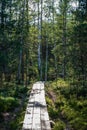 wavy wooden foothpath in swamp forest tourist trail