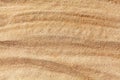 Wavy yellow sand texture background, sandy waves pattern, sand grains, rippled dry sand surface top view, desert dune Royalty Free Stock Photo