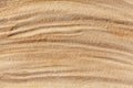 Wavy yellow sand texture background, sandy waves pattern, sand grains, rippled dry sand surface top view, desert dune