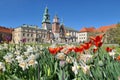 Wawel castle in Krakow, Poland during spring time. Tulips and daffodils flowers Royalty Free Stock Photo