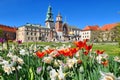 Wawel castle and tulip flowers in Krakow, Poland during spring Royalty Free Stock Photo