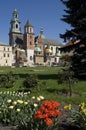Wawel and flowers2 Royalty Free Stock Photo